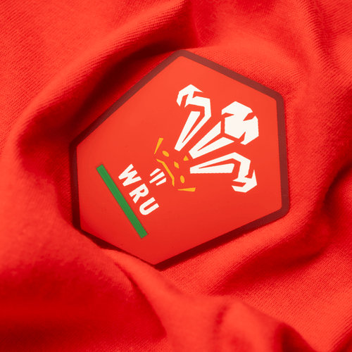 Welsh Rugby Union Home 25 - Kids Short Pyjamas Set (T-Shirt & Shorts)