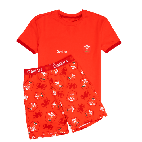 Welsh Rugby Union Home 26 - Kids Short Pyjamas Set (T-Shirt & Shorts)