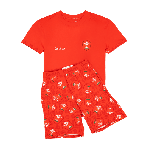 Welsh Rugby Union Home 25 - Kids Short Pyjamas Set (T-Shirt & Shorts)