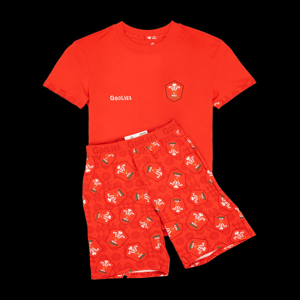 Welsh Rugby Union Home 25 - Kids Short Pyjamas Set (T-Shirt & Shorts)