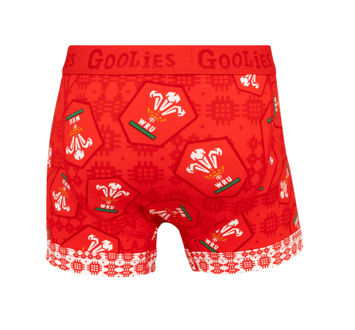 Welsh Rugby Union Home 25 - Kids Boxer Shorts - Goolies