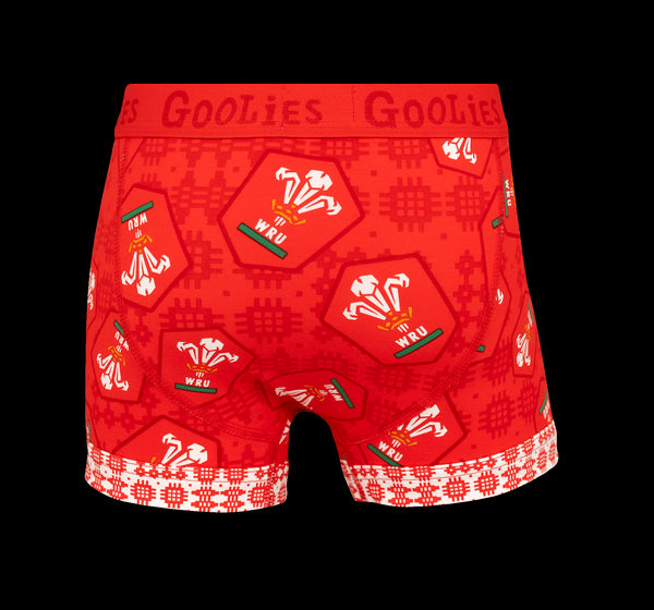Welsh Rugby Union 25 Bundle - Kids Boxer Shorts 2 Pack Bundle