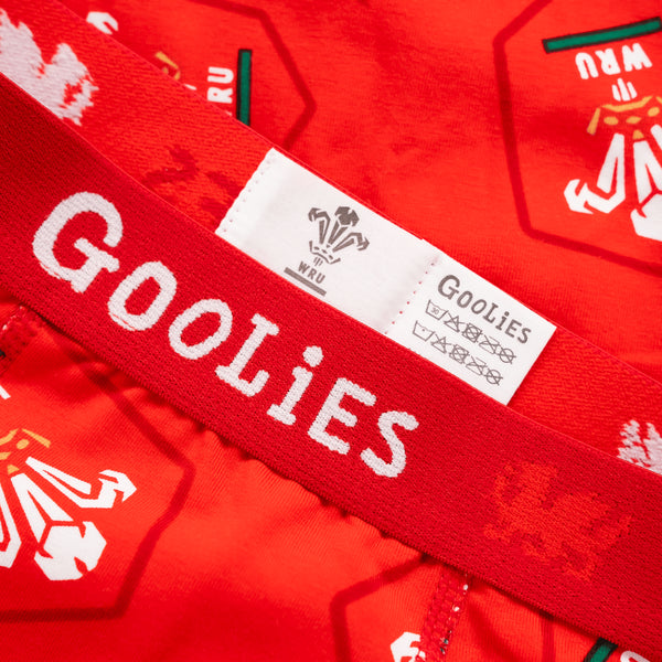 Welsh Rugby Union Home 26 - Kids Boxer Shorts