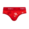 Welsh Rugby Union Home 26 - Ladies Briefs