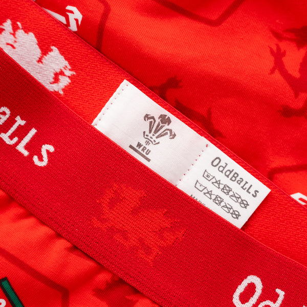 Welsh Rugby Union Home 26 - Ladies Boxers