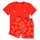 Welsh Rugby Union Home 26 - Men's Short Pyjamas Set (T-Shirt & Shorts)