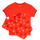 Welsh Rugby Union Home 26  - Women's Long Pyjamas Set (T-Shirt & Trousers)