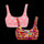 Bargain Boobs Bundle - Ladies Bralette 2 Pack