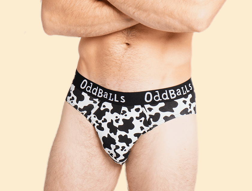 Briefs
