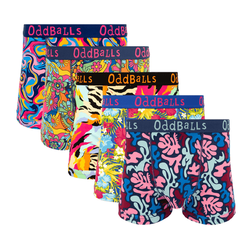 Bargain Bums Bundle - Mens Boxer Shorts 5 Pack