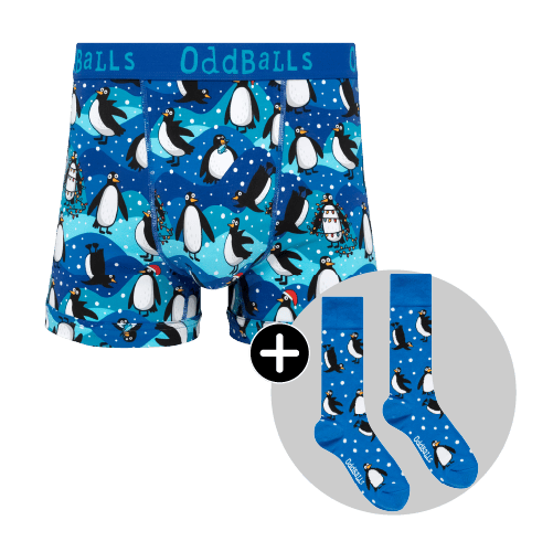 Penguins Bundle - Mens Boxer Shorts & Matching Socks