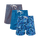 Tropical Bundle - Mens Swim Shorts 3 Pack