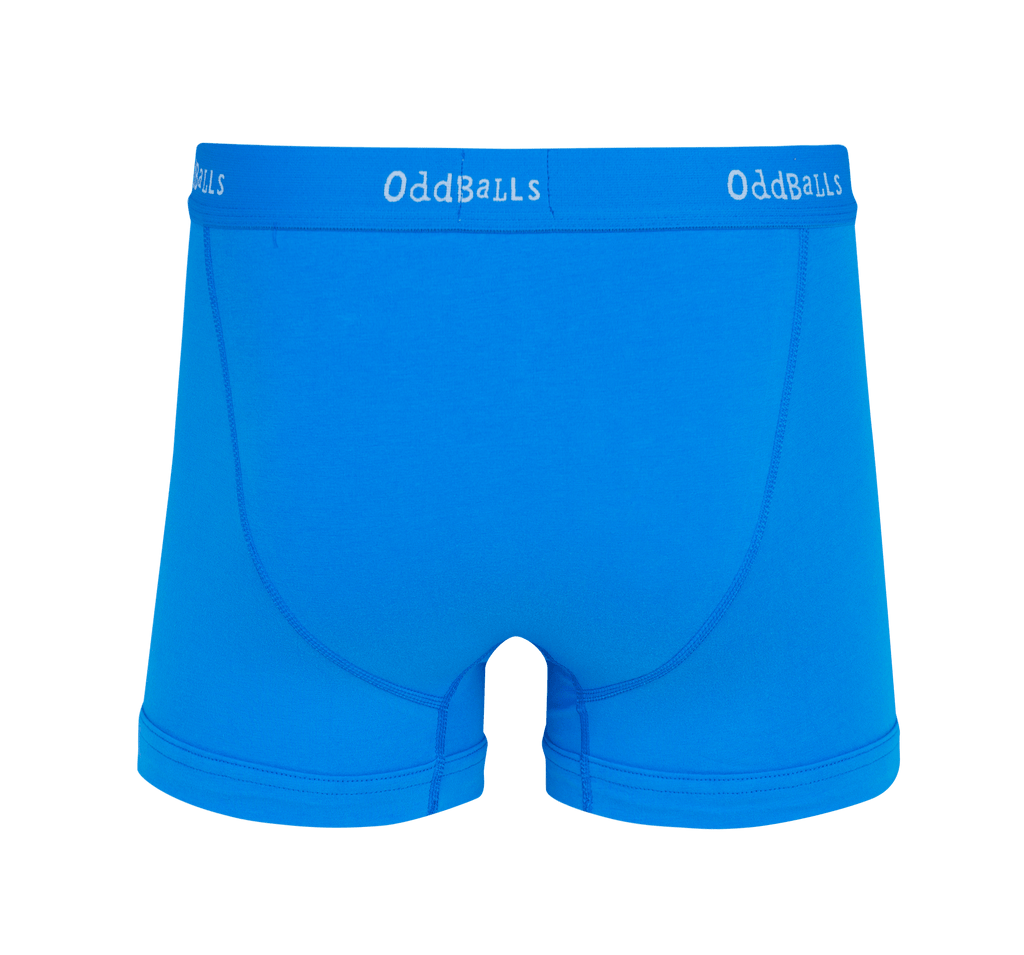 Blueberries Mens Boxer Shorts