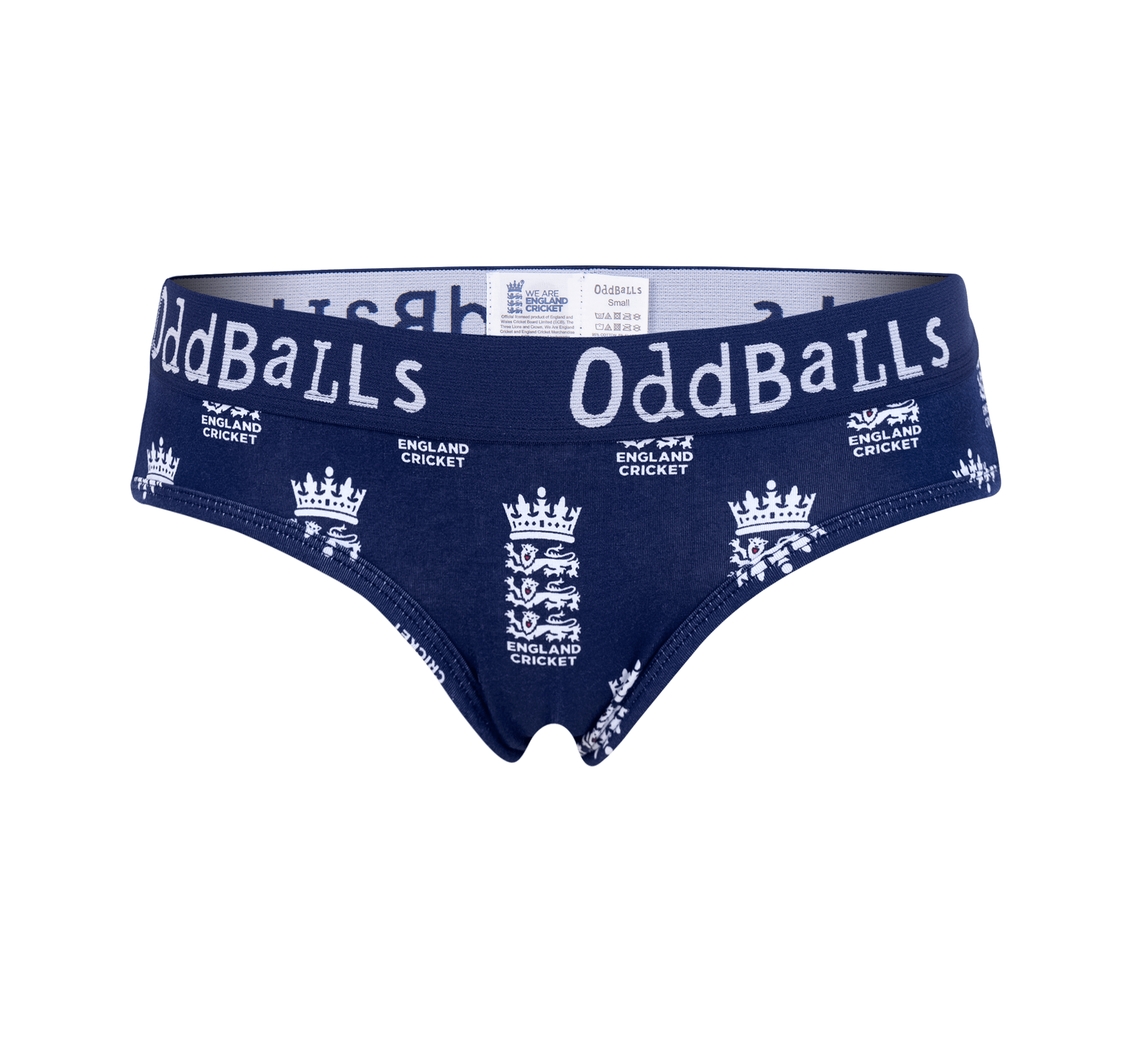England Cricket Briefs