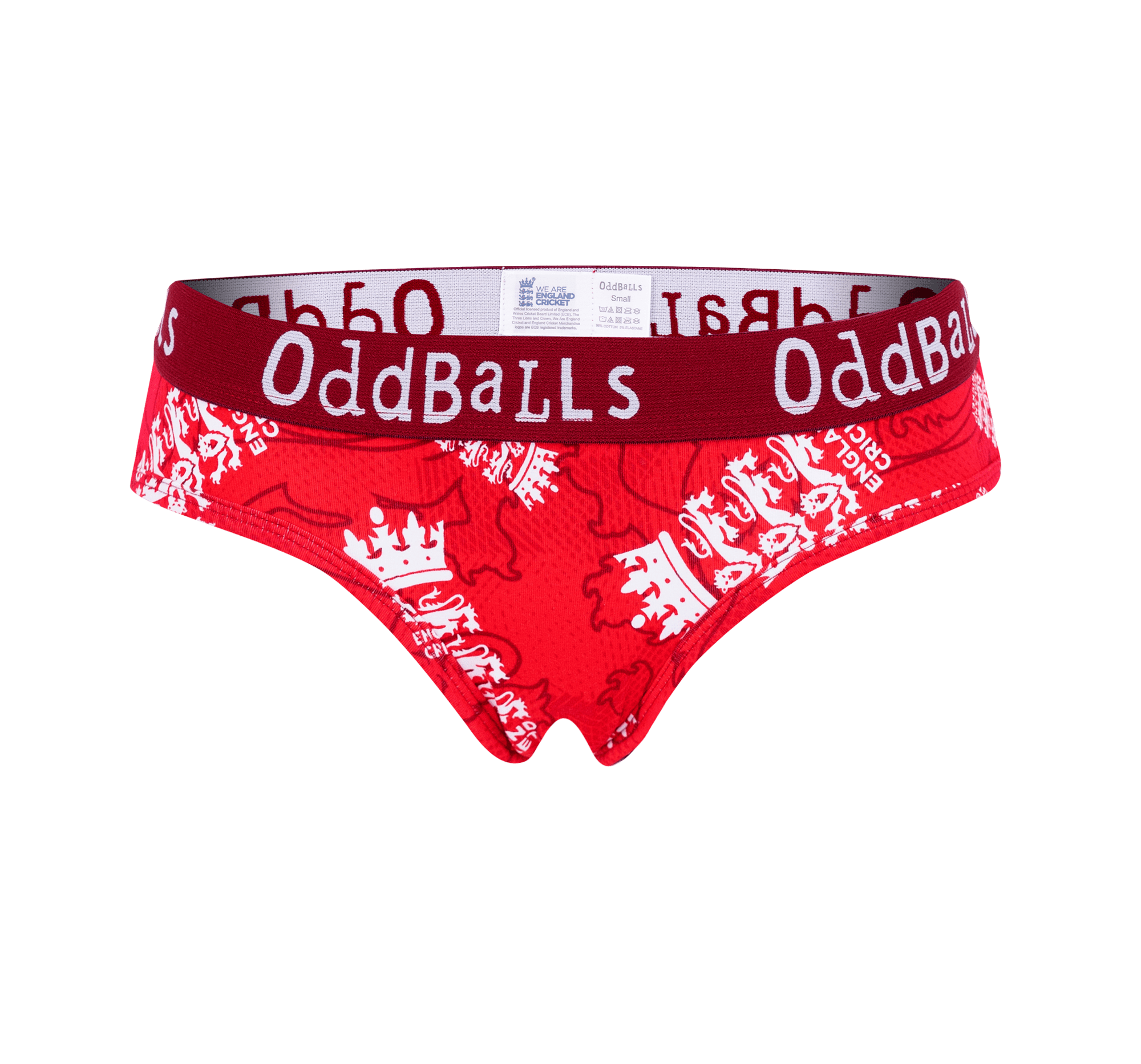 England Cricket T20 Briefs