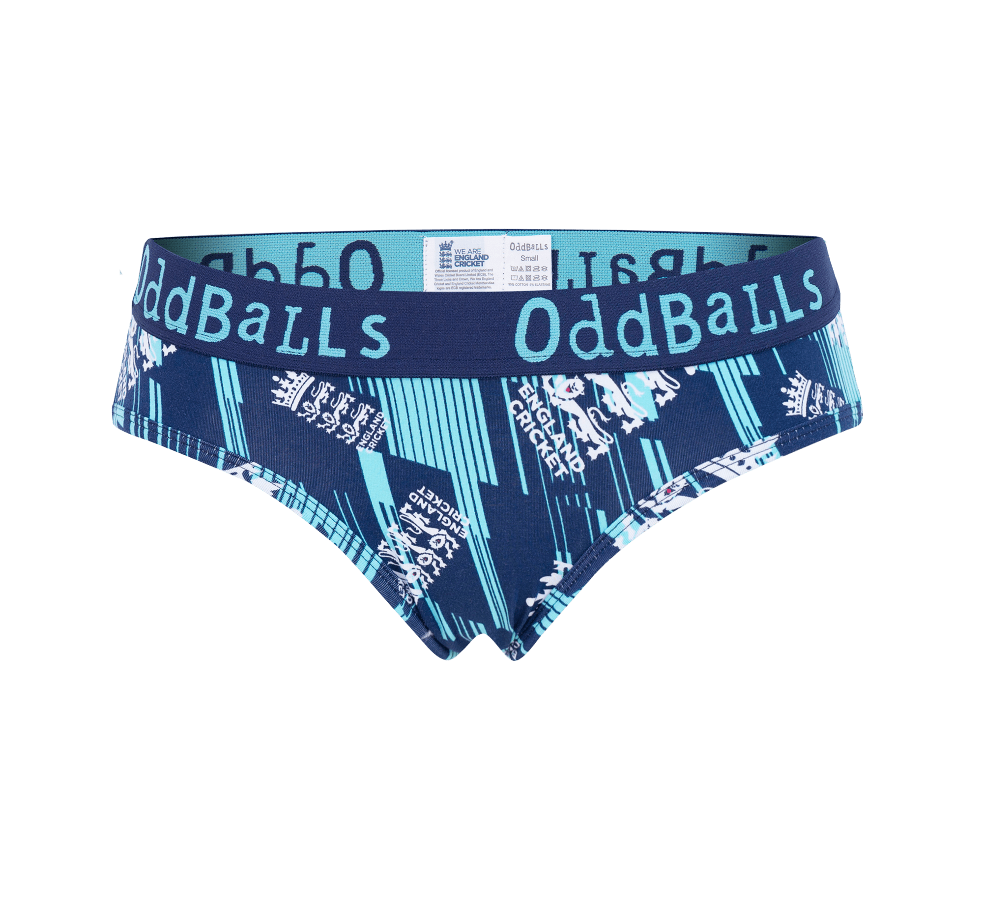 England Cricket ODI 2022 23 Briefs