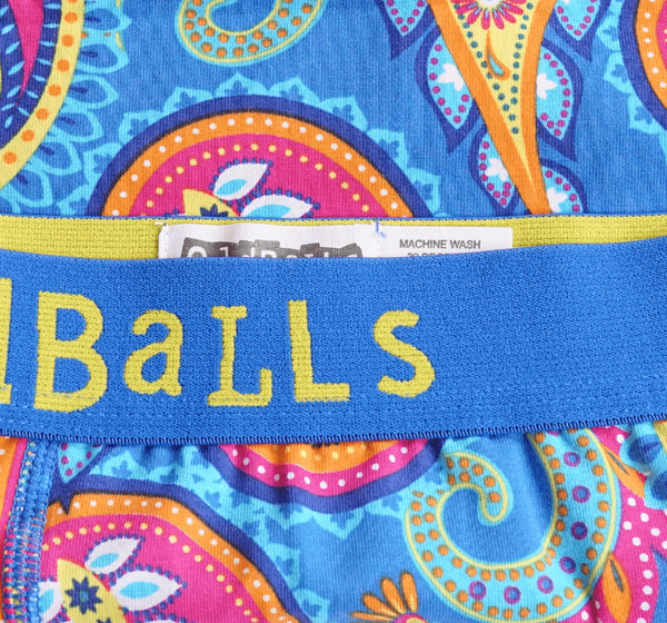 Paisley - Mens Briefs