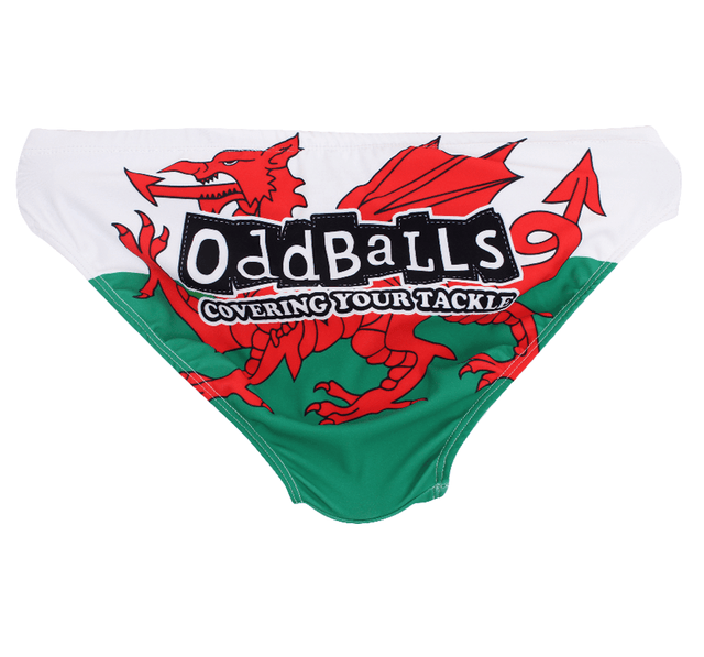 Wales - Swimming Briefs