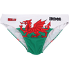 Wales - Swimming Briefs