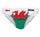 Wales - Swimming Briefs