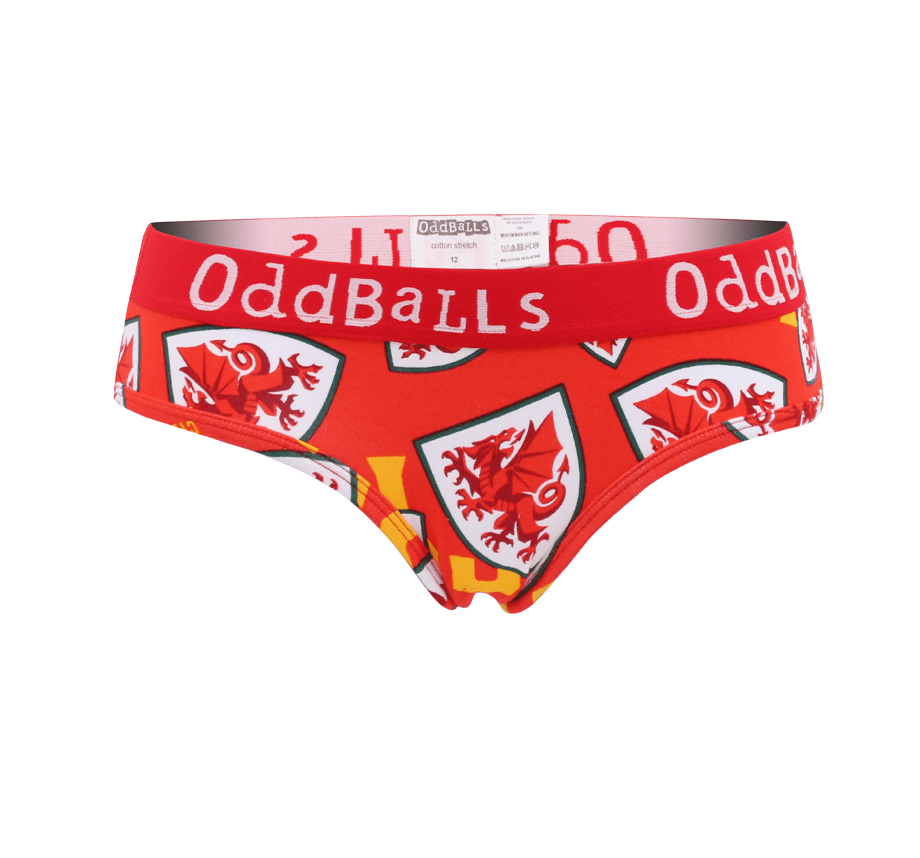 FA Wales Briefs