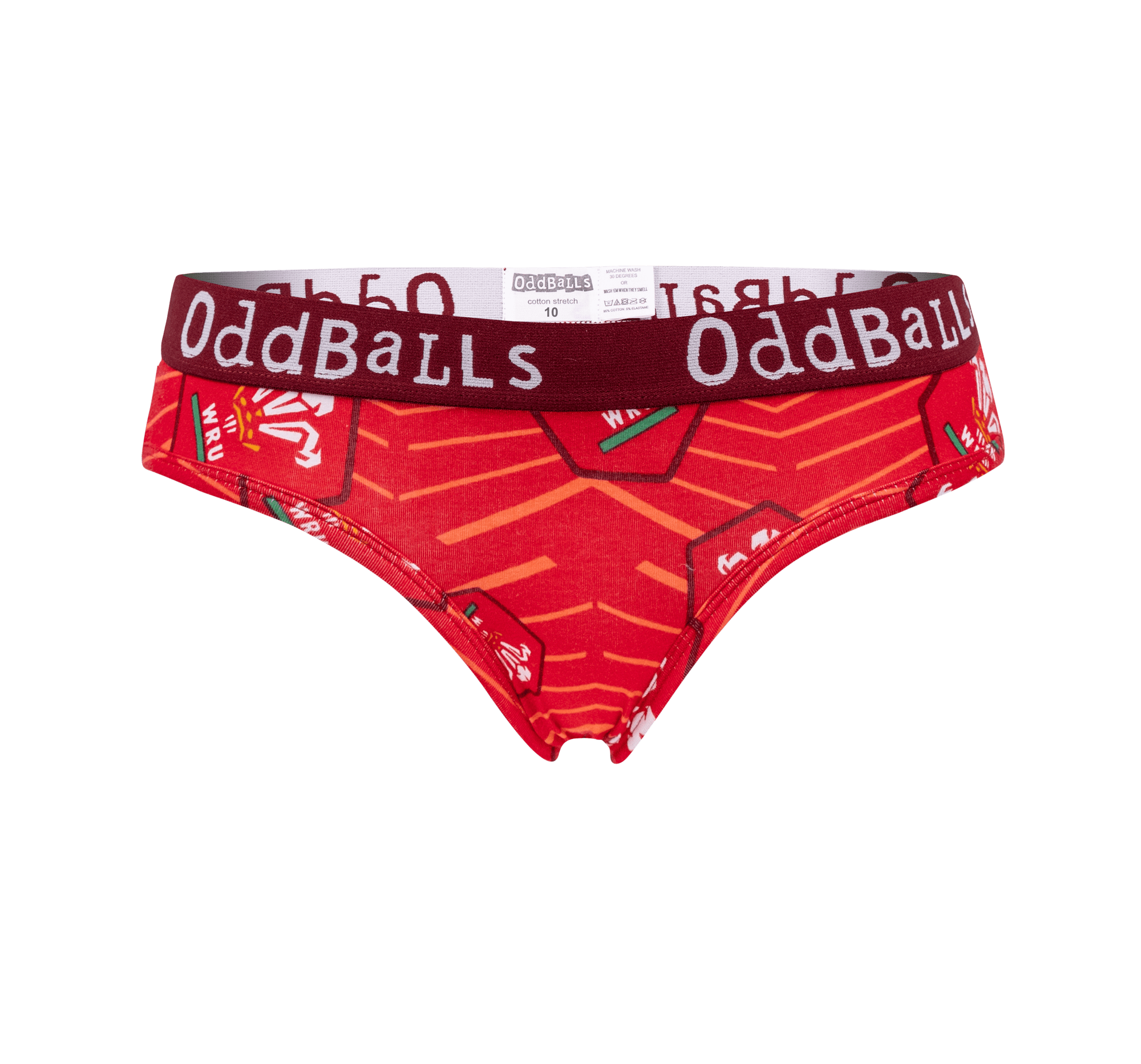 Welsh Rugby Union Home Briefs