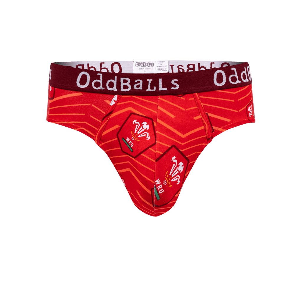 Welsh Rugby Union Home Mens Briefs