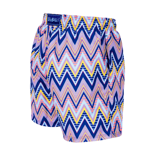 ZiggZagg - Swim Shorts